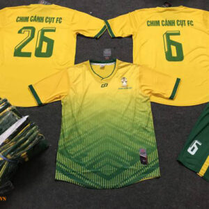 CHIM CÁNH CỤT FC - NĂM 2020