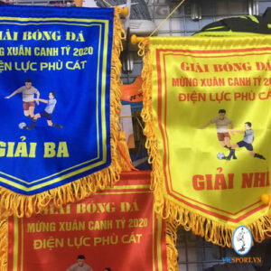CỜ LƯU NIỆM ĐIỆN LỰC PHÙ CÁT 2020