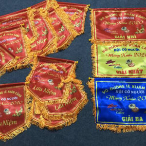 CỜ XUÂN VÕ ĐƯỜNG MAI XUÂN CẢNH - QUY NHƠN