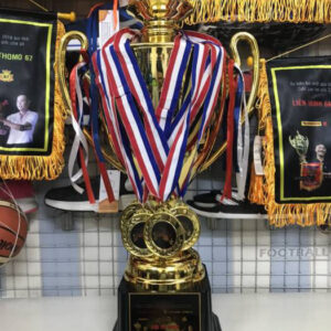 CỜ - CÚP - HUY CHƯƠNG GIAO LƯU CÁC CLB GÀ ĐÌNH ĐÁM