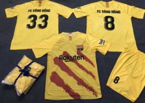 FC SÔNG HỒNG