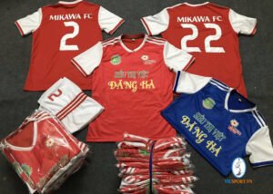 MIKAWA FC TẠI NHẬT BẢN