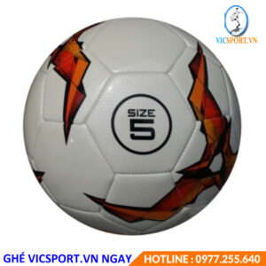 BÓNG ĐÁ SỐ 5 AK PRO EUROPA19