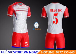 CÔNG TY PHAVI JSC