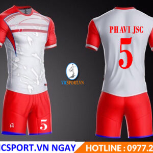 CÔNG TY PHAVI JSC