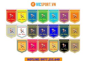 Cờ lưu niệm bóng đá có sẵn