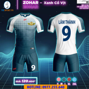 LỮ ĐOÀN 954
