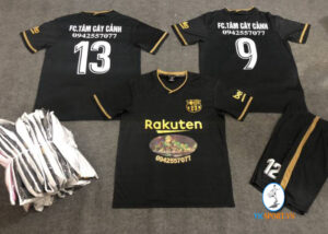 FC TÂM CÂY CẢNH - BÌNH THUẬN