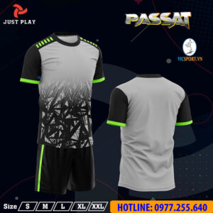 ÁO KHÔNG LOGO PASSAT MÀU XÁM