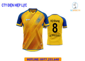 CÔNG TY ĐIỆN HIỆP LỰC