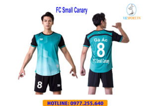 FC SMALL CANARY