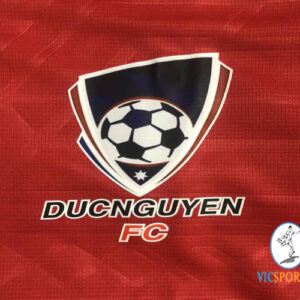 DUC NGUYEN FC