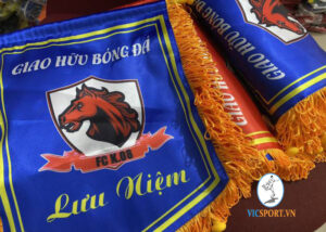 CỜ LƯU NIỆM FC K08