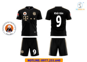TỈNH DÒNG ĐA MINH VIỆT NAM