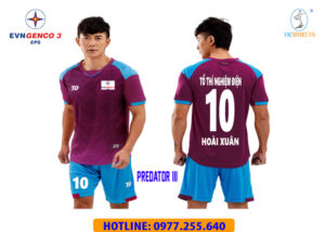 EVN TUY PHONG - BÌNH THUẬN