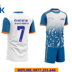 NHẬT NGỮ LINK - PASSAT TRẮNG