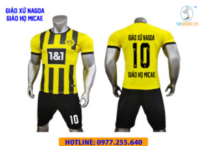 GIÁO HỌ MICAE - GX.NAGOA