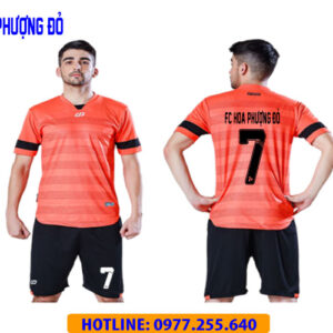FC HOA PHƯỢNG ĐỎ - BÌNH THẠNH