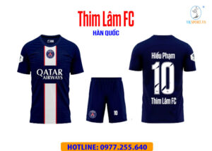 THIM LÂM FC tại Hàn Quốc