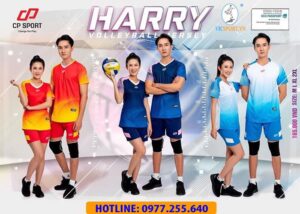 Quần áo bóng chuyền Harry nam