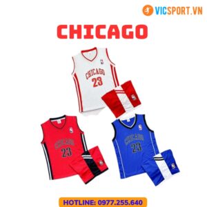 Bộ bóng rổ trẻ em Chicago