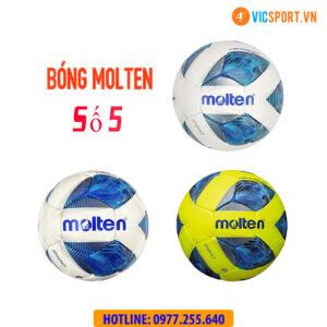 Bóng đá chính hãng Molten số 5
