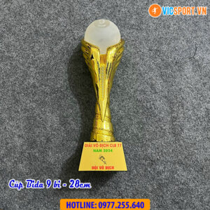 Cúp Bida - Cúp Billiards nhiều mẫu