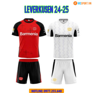 Áo đá banh Clb Bayer 04 Leverkusen mùa giải 2024-2025