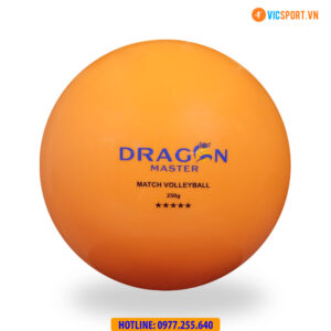 Quả bóng chuyền hơi Thăng Long Dragon Master chính hãng