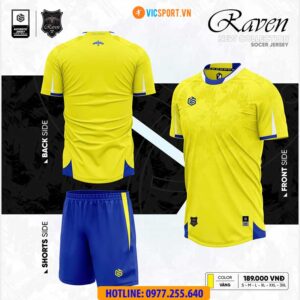 Áo đá banh không logo CT3 Raven