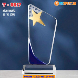 Kỷ niệm chương pha lê 8617